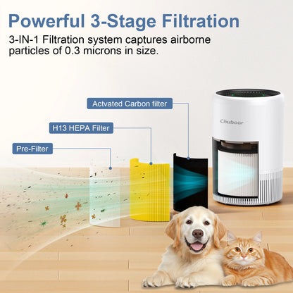 Smart Air Purifier with App Control – PM2.5 Monitor, Real-Time Air Quality & Quiet Home Filtration